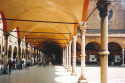 Bologna University - 2001
