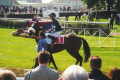 Diamond White at Newmarket - 2000